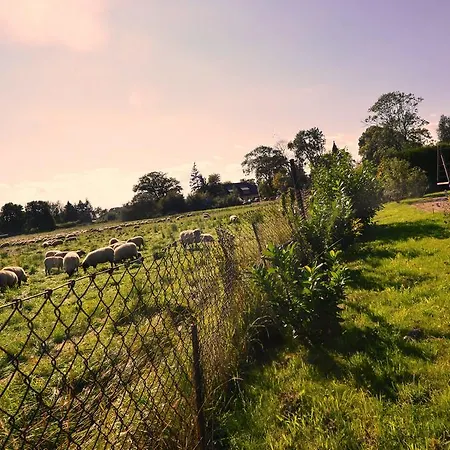 Reet - Meerblick - Terrassenwohnung Sonnenkliff Eg Apartment *