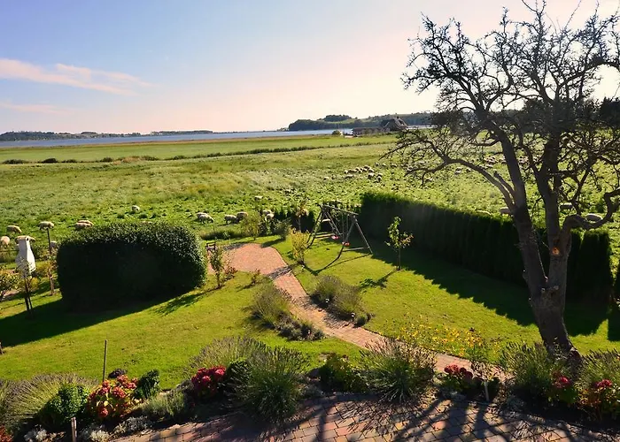 Reet-meerblick-terrassenwohnung-sonnenkliff-eg Lejlighed Groß Zicker