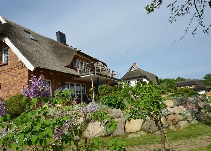 Reet-meerblick-terrassenwohnung-sonnenkliff-eg Groß Zicker